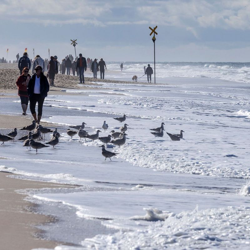 Der Strandabschnitt, Foto: PWA/John Carter