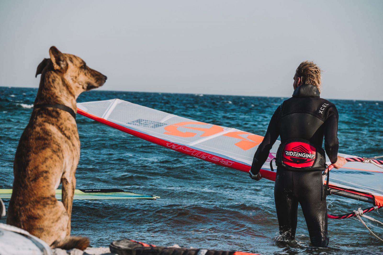GFB Fehmarn 2018: Niclas Nebelung triumphiert