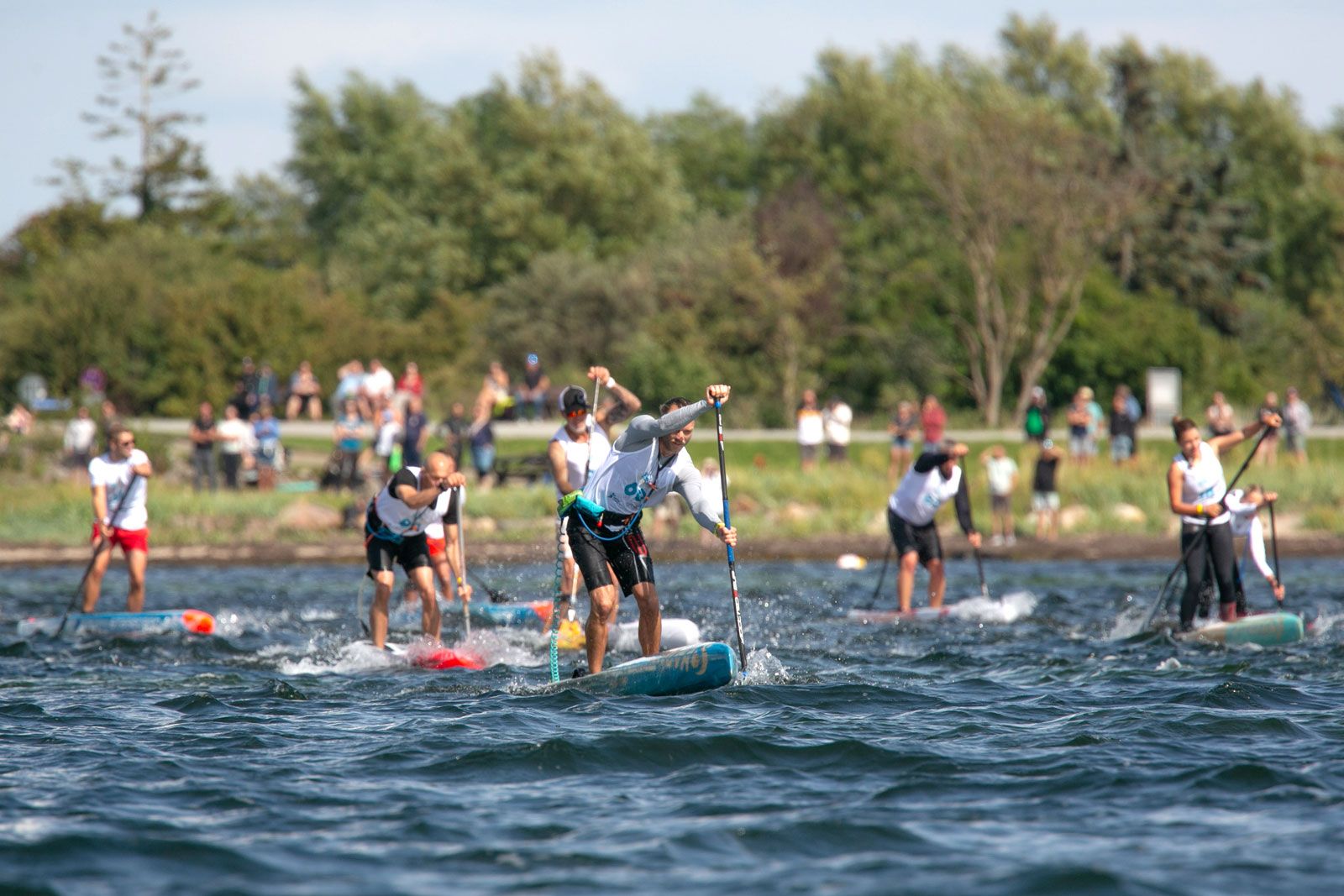 SUP & Wing Foil Festival Fehmarn 2025: DM SUP Open Ocean & DM Wingfoil Freestyle 