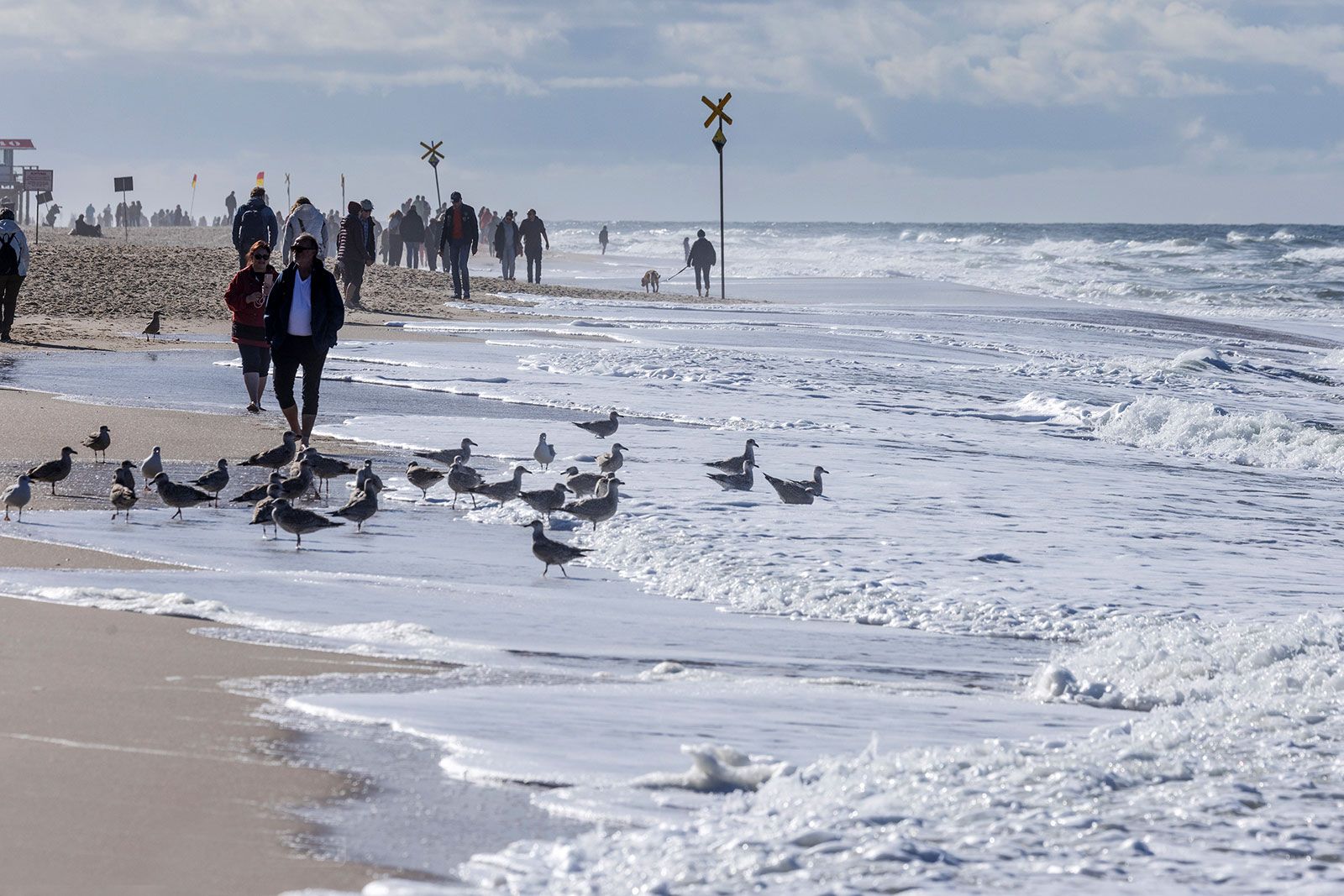 Der Strandabschnitt, Foto: PWA/John Carter