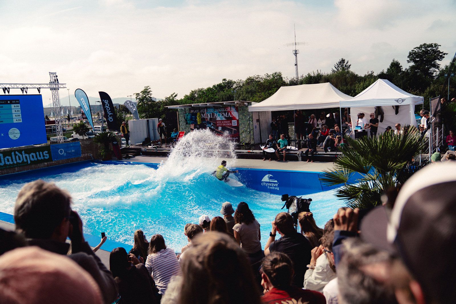Rapid Surf DM 2025 presented by MINI: Schneider und Weinhold erneut erfolgreich 