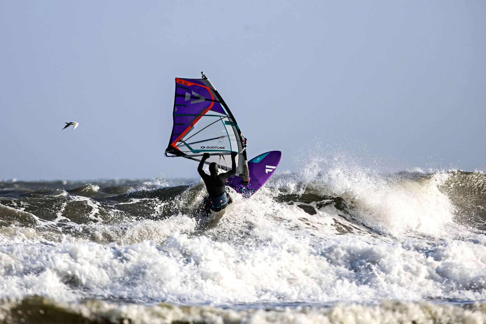 Petition gegen Kite-, Windsurf-, SUP-, Wellenreit- und Foilverbote an der Ostsee