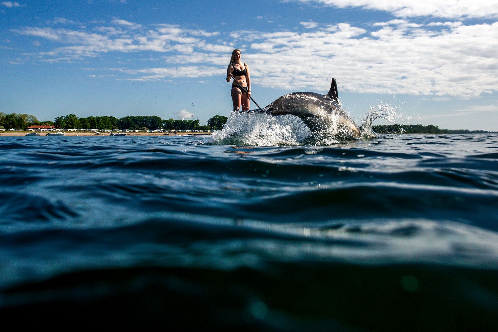 Kosmopolit, Model und Fotograf: Henning von Jagow im Interview Das Delfin Bild entstand bei einer spontanen SUP Session zusammen mit Freunden in Eckernfrde im Frhling 2020.