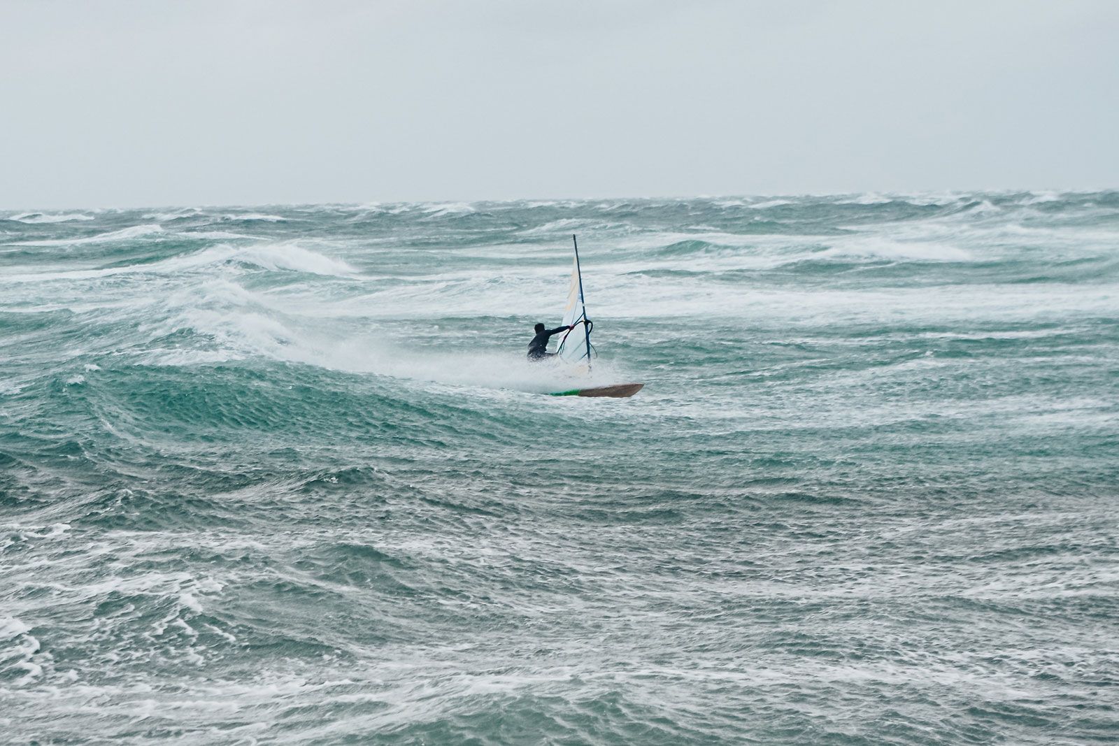 Schlei statt Hawaii: Henri Kolberg im Interview 