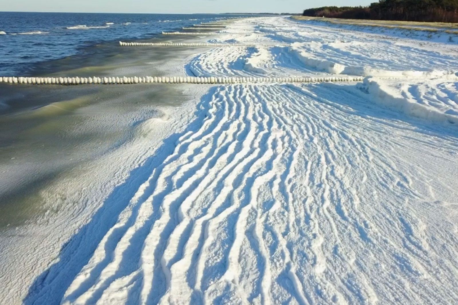 Eisiges Vergnügen auf der Ostsee: Windsurfen bei Temperaturen im Minusbereich 