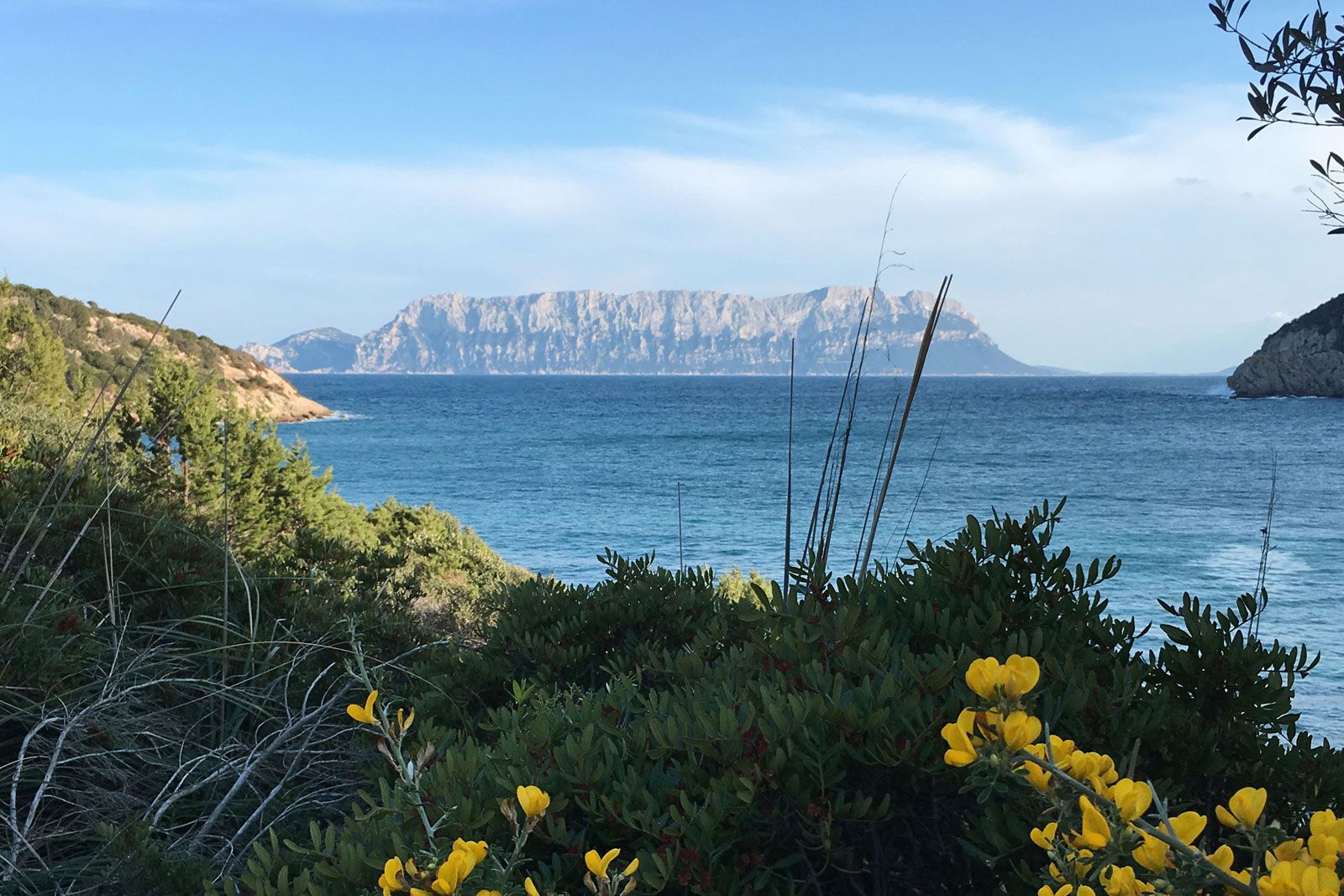 Wellenparadies Sardinien: Steffi Wahl zu Besuch bei den Sarden 