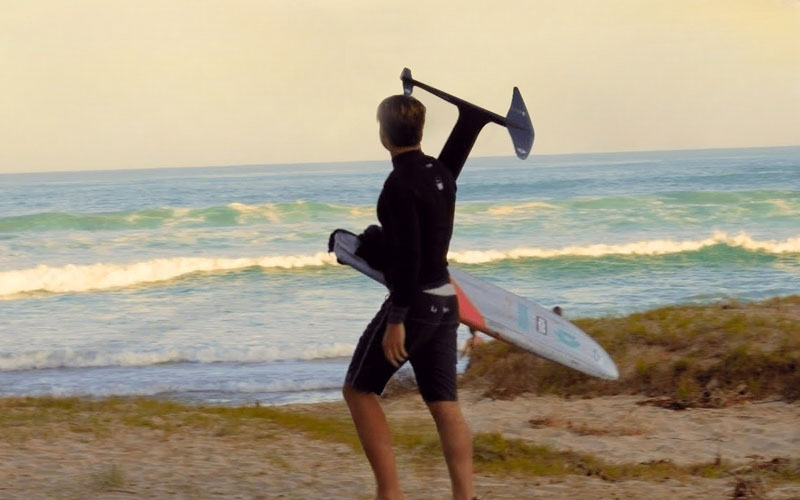 Coastal Chronicles - Luc Lohier