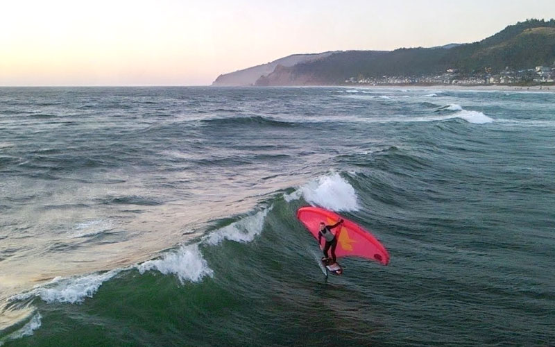 Winging the Oregon Coast - Daniela Moroz